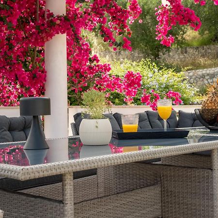 Cecilia Exclusive Villa Corfu Doukádes 外观 照片